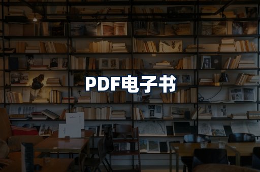 PDF电子书